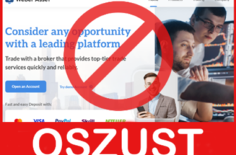 Weber Asset twarz ekran