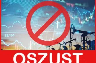 SelectedBrokers twarz ekran