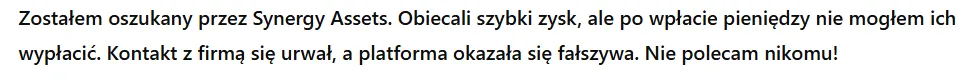 Synergy Assets 3 ekran